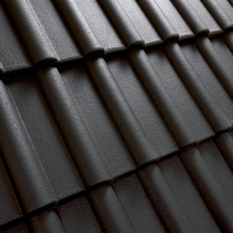 Mecklenburger schwarz